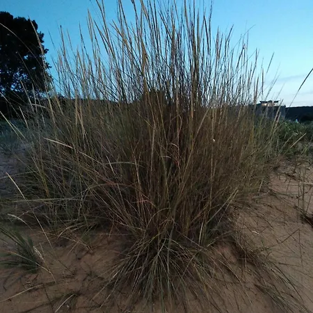 Quatro - South Pearl - Lejlighed *