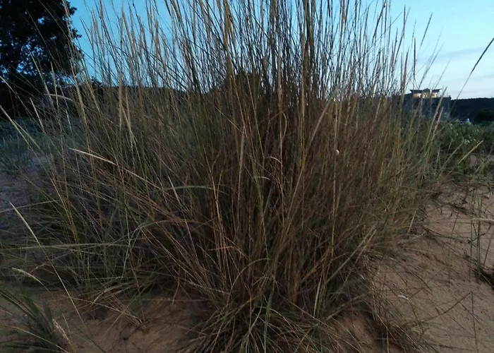 Quatro - South Pearl - Apartamento *